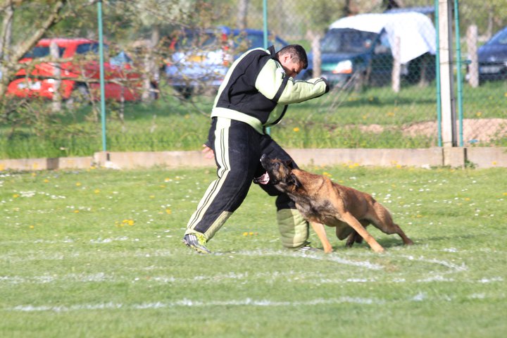 Publication : Des Loups Vaillants Auteur : DEBS EMMANUEL