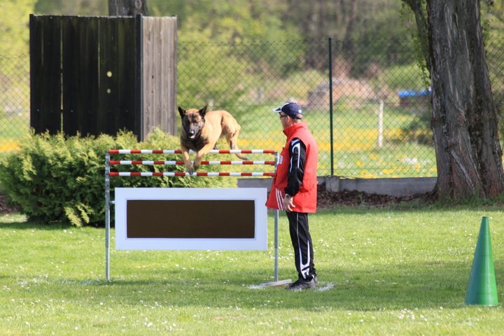 Publication : Des Loups Vaillants Auteur : DEBS EMMANUEL