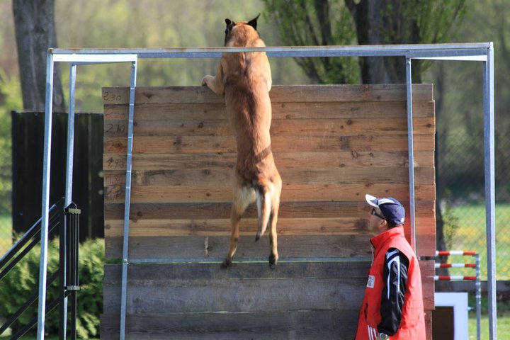 Publication : Des Loups Vaillants Auteur : DEBS EMMANUEL