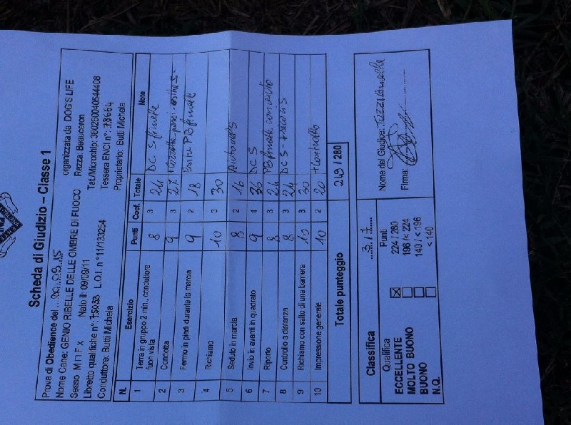 Genio ribelle Delle Ombre Di Fuoco - 3° EXC avec 249/280 p.