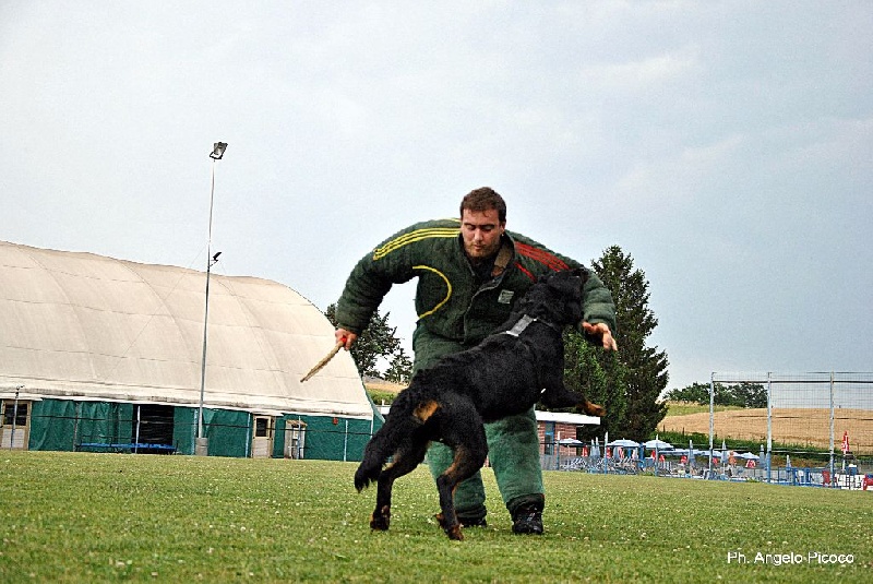 Jacob black Delle Ombre Di Fuoco - 161 p. excellent