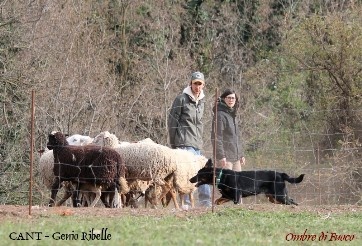 Genio ribelle Delle Ombre Di Fuoco - CANT