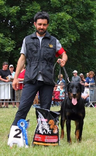 Jacob black Delle Ombre Di Fuoco - 2° en classe Jeune Male