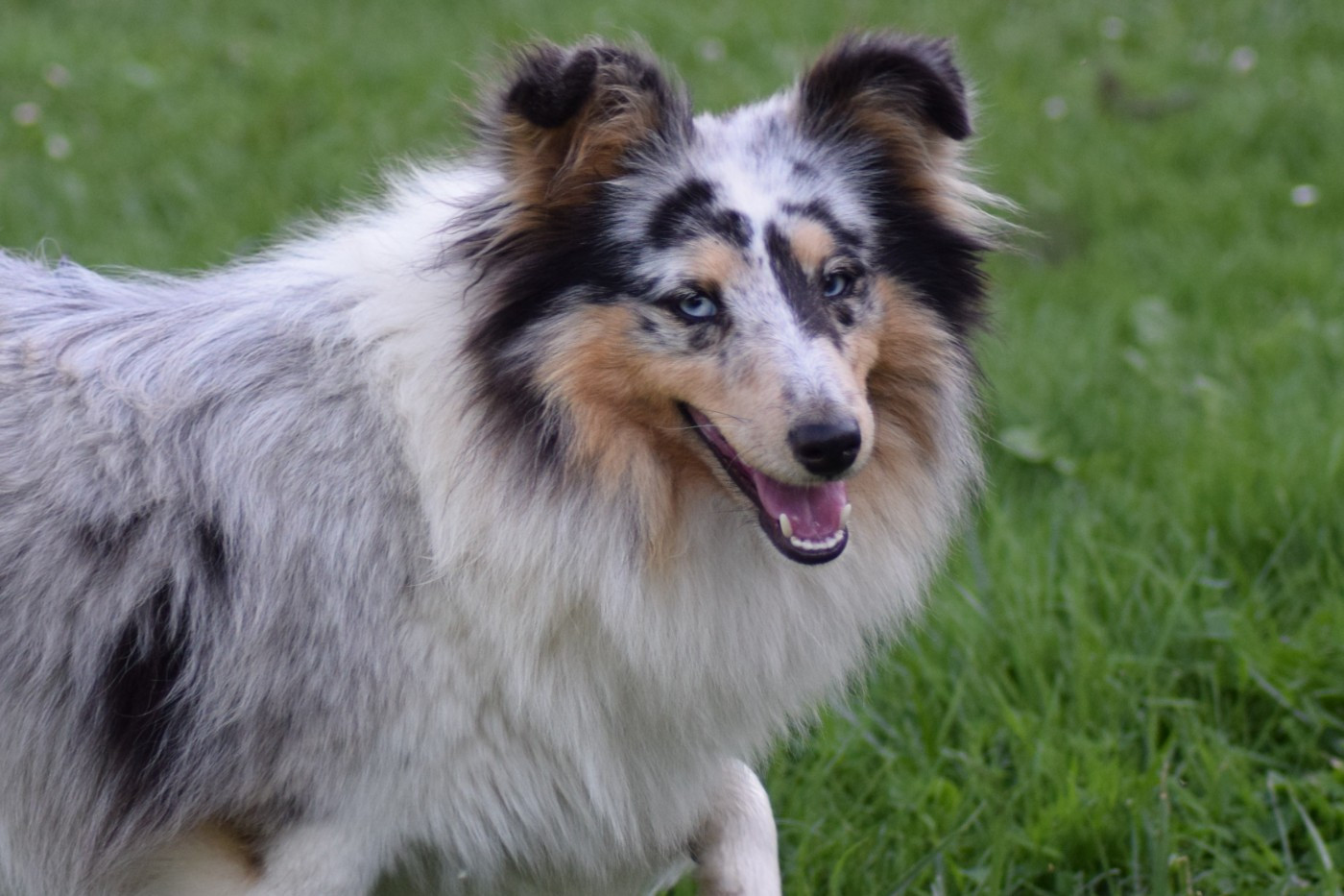 Ritamitsouko De La Terre De Neaure