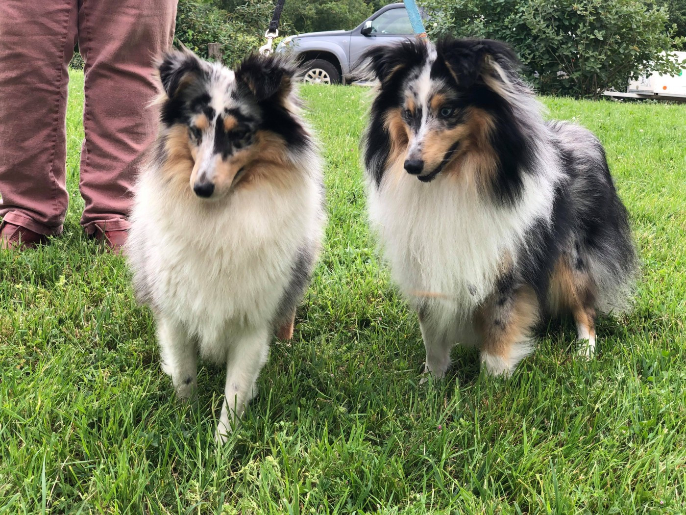 Ritamitsouko De La Terre De Neaure