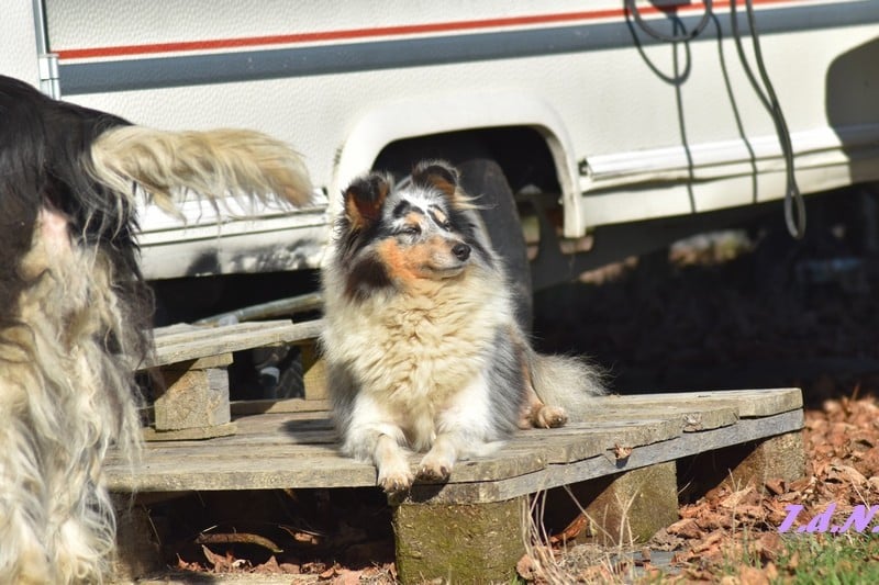 Ritamitsouko De La Terre De Neaure