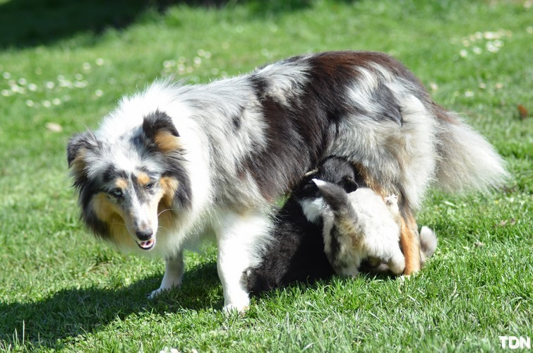 Ritamitsouko De La Terre De Neaure