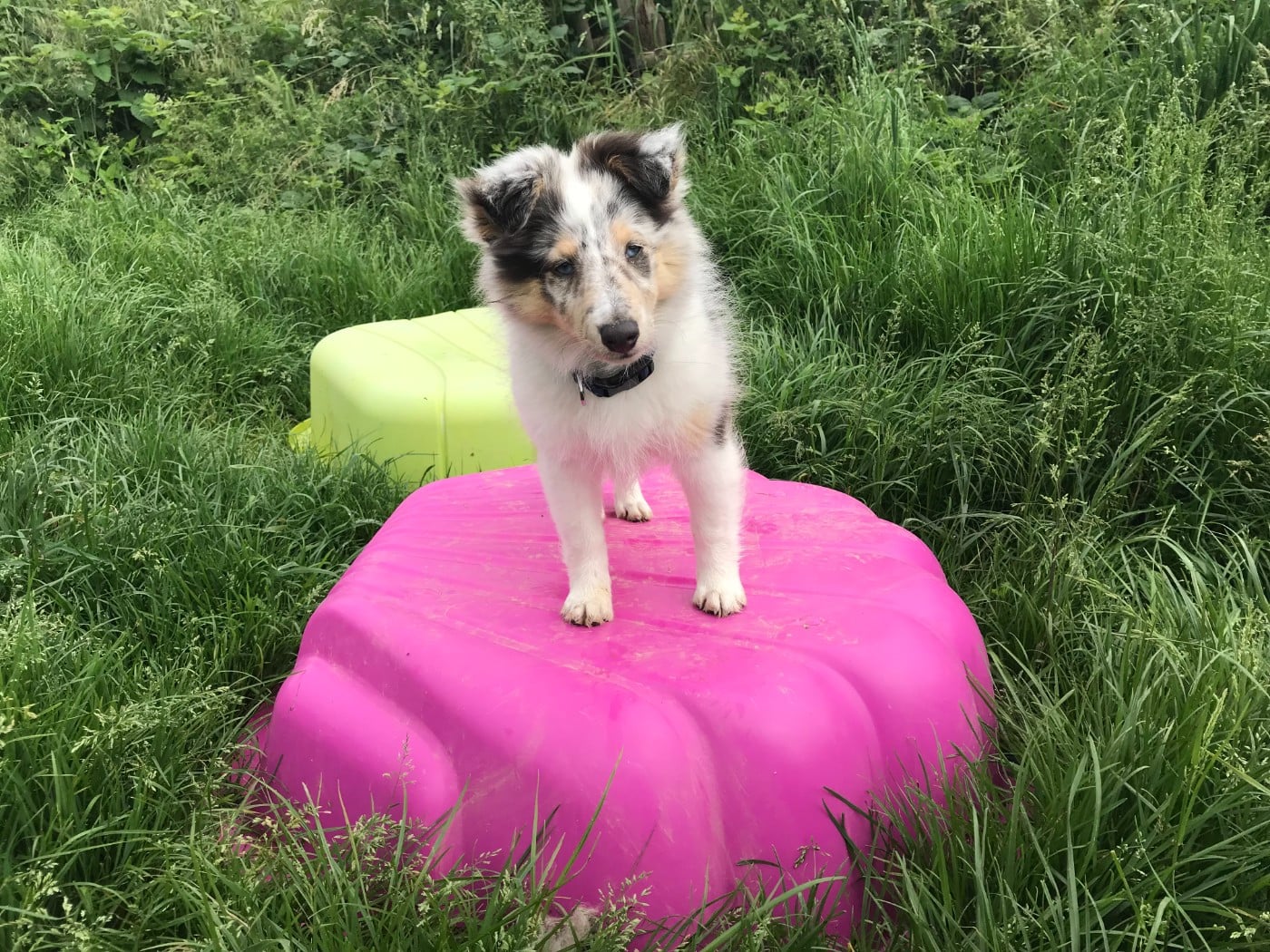 Ouréa dit bella (Sans Affixe)