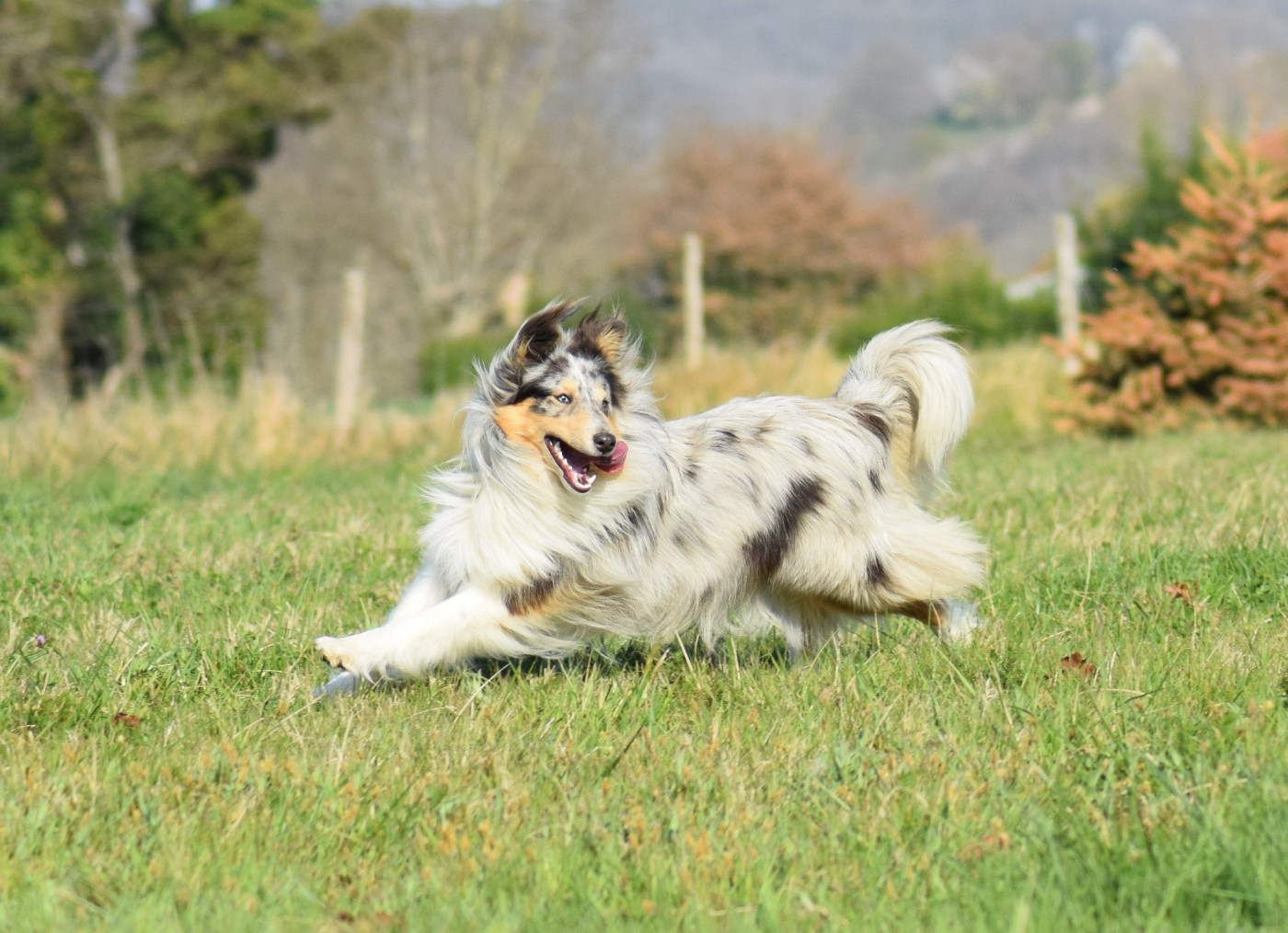 Ouréa dit bella (Sans Affixe)