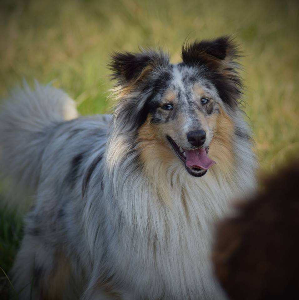 Ouréa dit bella (Sans Affixe)