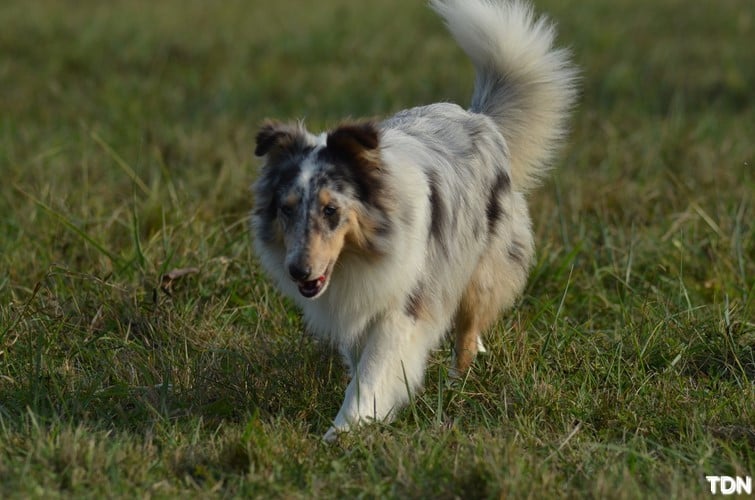 Ouréa dit bella (Sans Affixe)