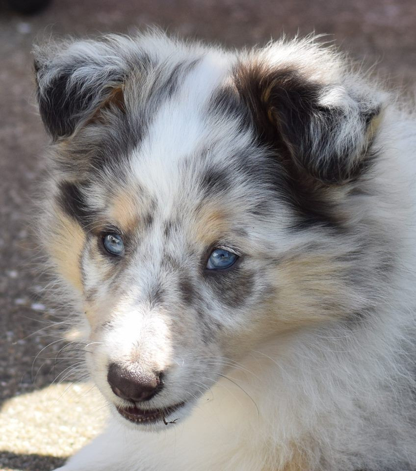 Ouréa dit bella (Sans Affixe)