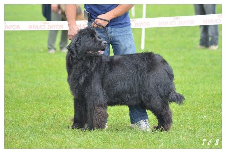 Full of passion de la plaine abyssale - 3éme Exc en COF