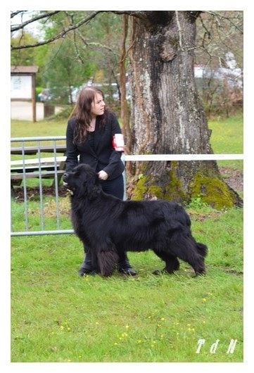 Full of passion de la plaine abyssale - 2 éme Exc en COF