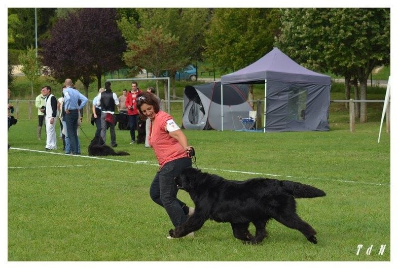 Full of passion de la plaine abyssale - Exc NC en COF