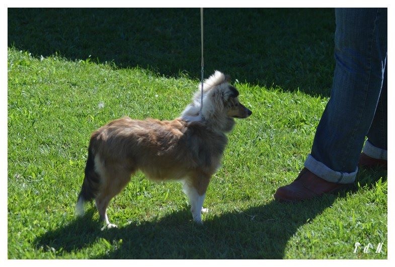 Manzana De La Terre De Neaure - très prometteur