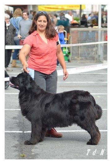 Full of passion de la plaine abyssale - 1er, Exc, CACS, en COF