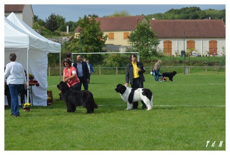 CH. V hourquette De La Terre De Neaure - Exc NC en COF