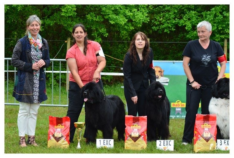 CH. V hourquette De La Terre De Neaure - 1 éme EXC en COF