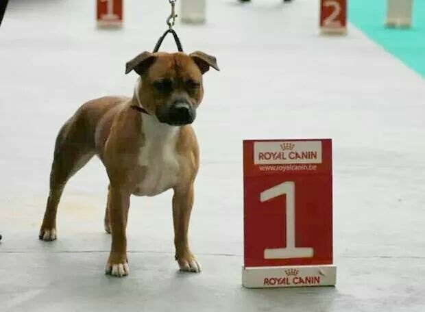 Jch hey sexy baby d'ultime passion