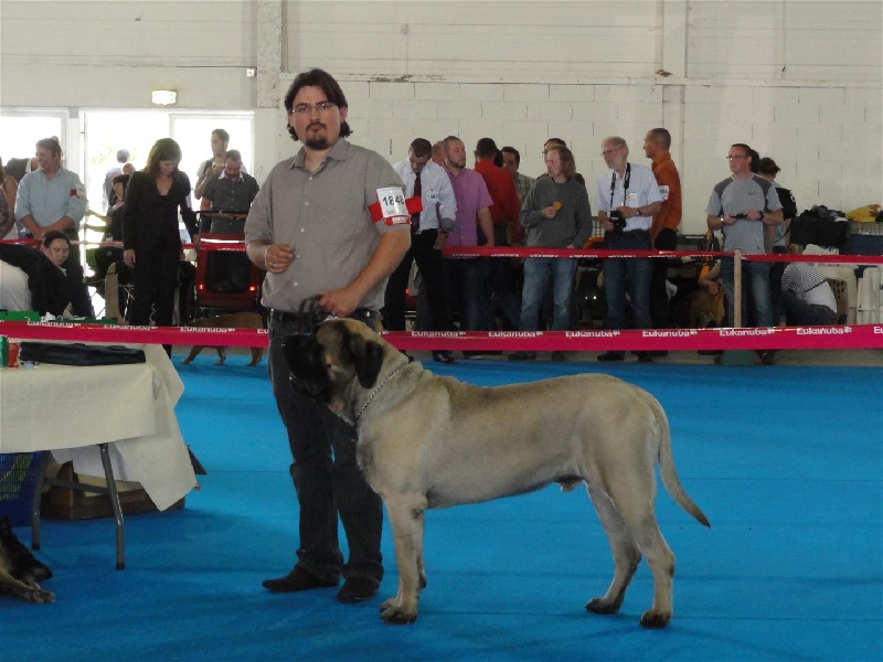 CH. Eton emoi de la basse roche - 2ème Exc, RCACS