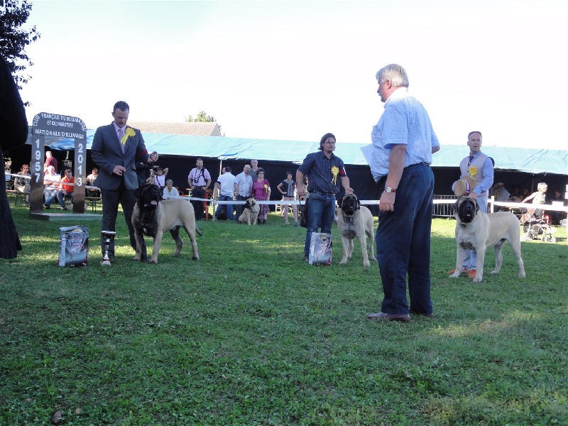 CH. Eton emoi de la basse roche - 2ème Excellent, Classe ouverte