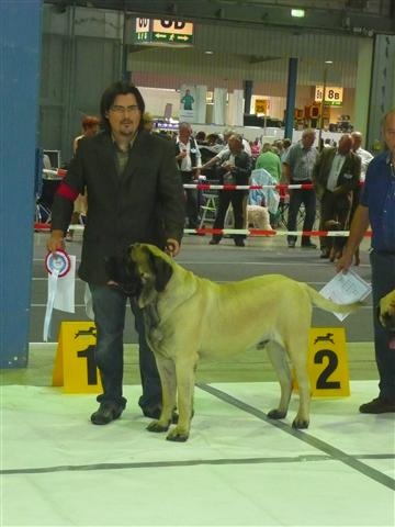 CH. Eton emoi de la basse roche - CACL, CACIB, BOB