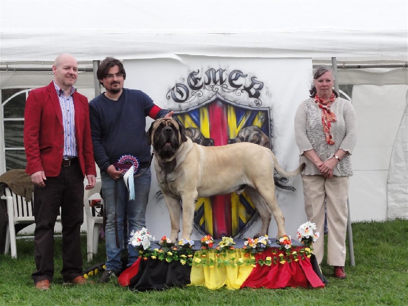 CH. Eton emoi de la basse roche - 1er classe champion, meilleur mâle, Best in Show