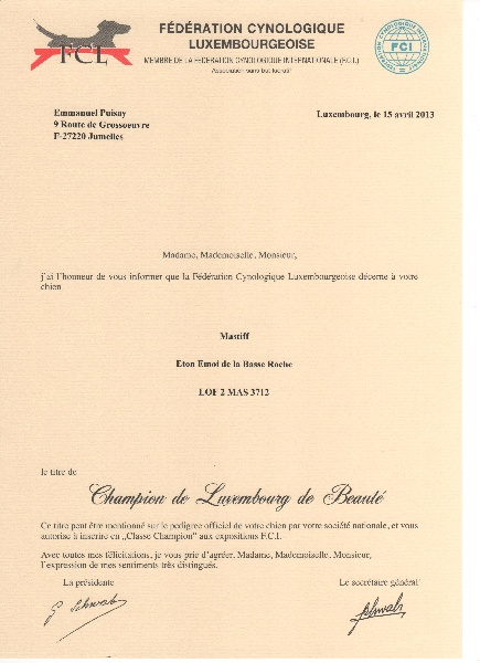 CH. Eton emoi de la basse roche - CACL, CACIB, BOB et validation du titre de CHAMPION DU LUXEMBOURG