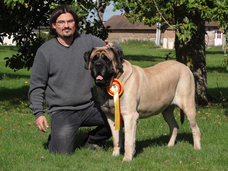 CH. Eton emoi de la basse roche - CACS