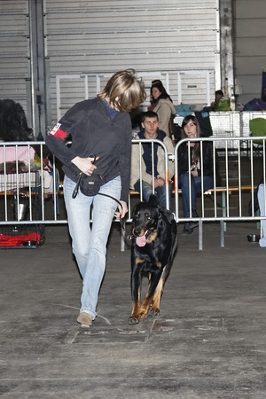 Gadget Of Eagle Bottom - 2IME TB CLASSE OUVERTE