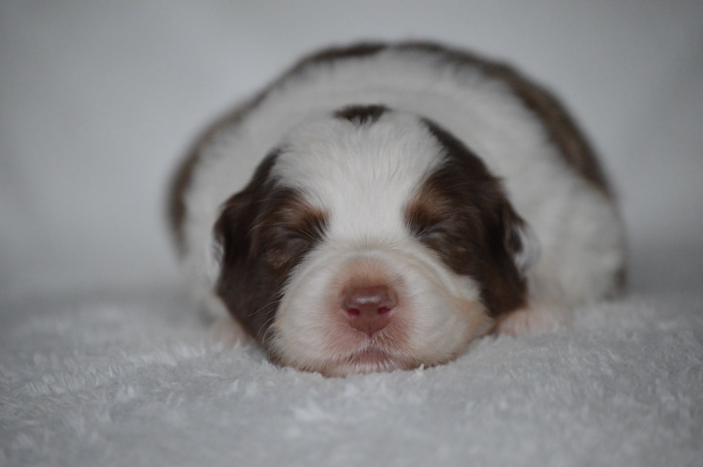 AT MY MOST BEAUTIFUL - Berger Australien