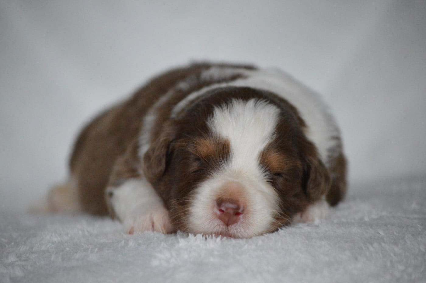 ADDICTED TO YOU - Berger Australien