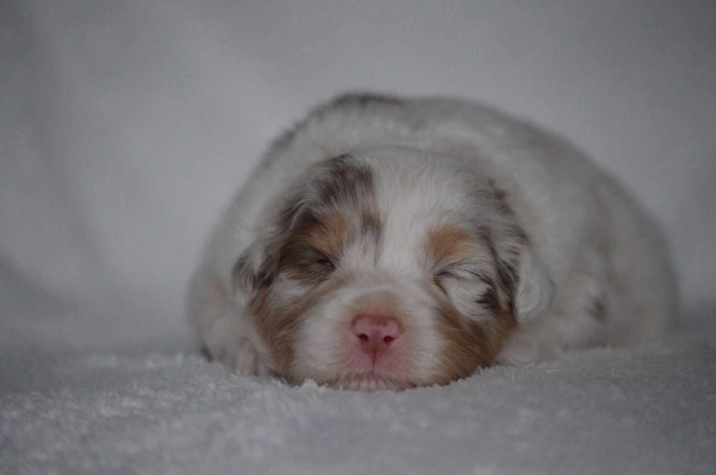 ACROSS THE SKY - Berger Australien