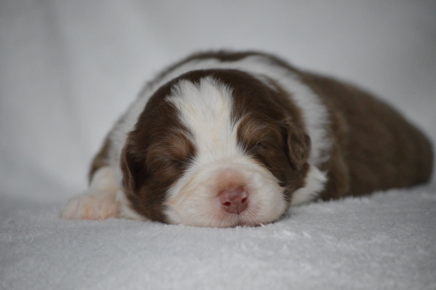 ALL RIGHT NOW - Berger Australien