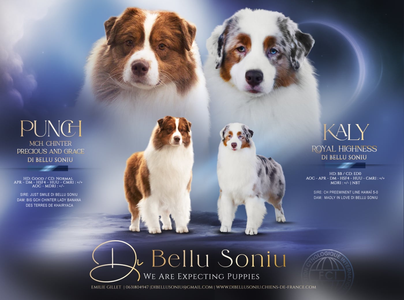 Berger Australien - Di Bellu Soniu