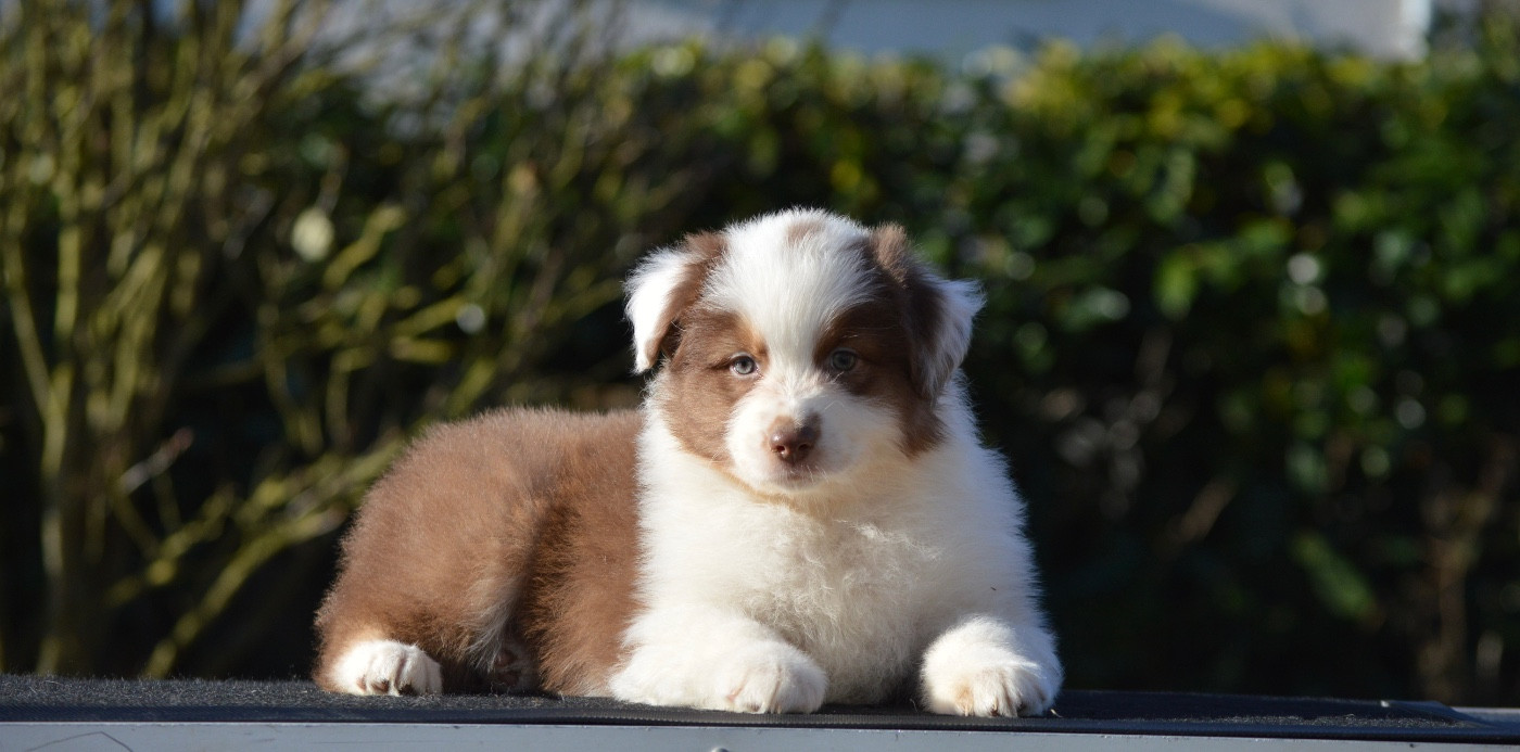 ADDICTED TO YOU - Berger Australien