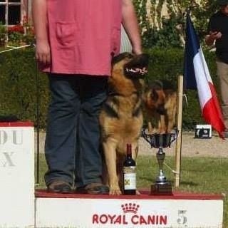 Gunter De Viknane - Excellent en Ring 1