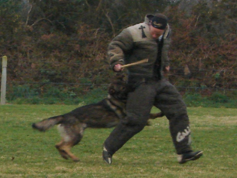 Vicky arz ki duz - Ring 1