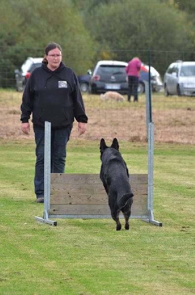 Geoyce De Viknane - Brevet obéissance