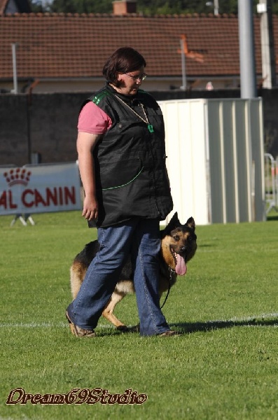 Gunter De Viknane - Très bon en Ring 2