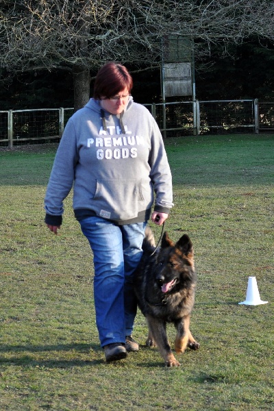 Gitti dite pyper von der stadtwiese - CSAU