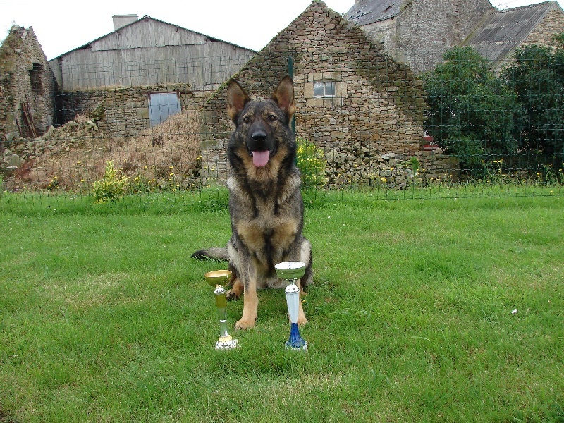 Vicky arz ki duz - Confirmation et TAU