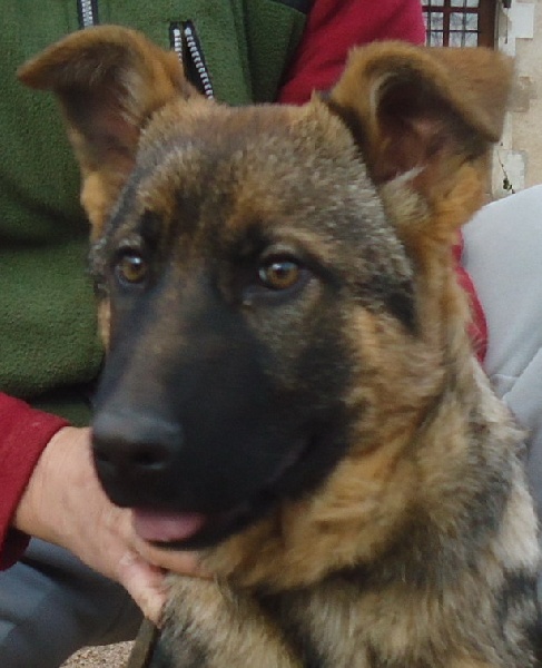 Publication : Du Territoire Des Anges