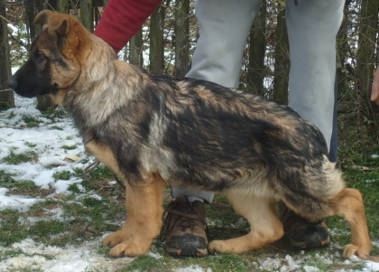 Publication : Du Territoire Des Anges