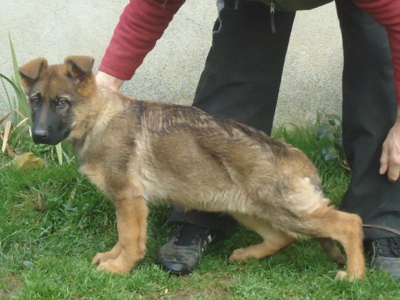 Publication : Du Territoire Des Anges