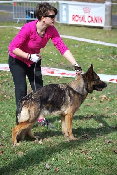 Gwapa Du Territoire Des Anges - 2ème Excellent Classe Ouverte