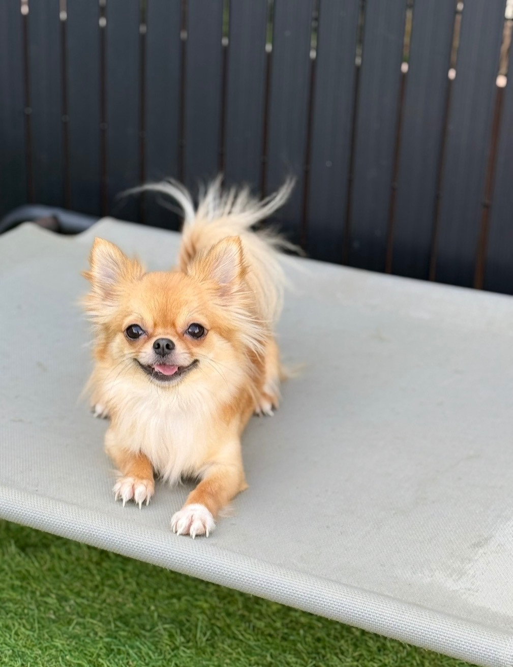 U're the Queen B' Des Minis Boss