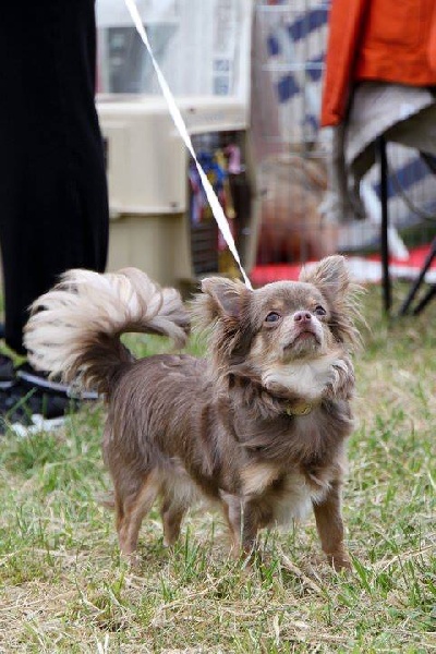 Publication : Des Minis Boss Auteur : SB