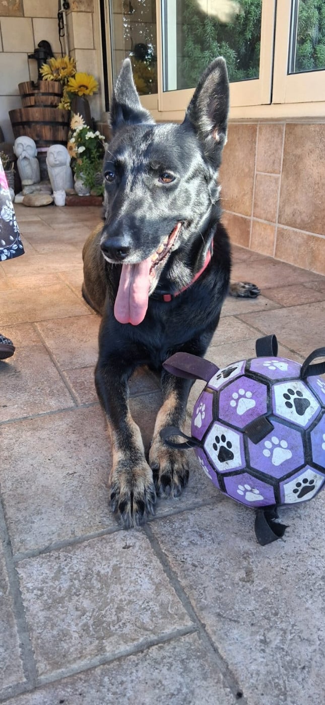 Ottawa Du domaine saint loup